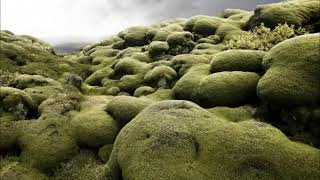 Bent - An Ordinary Day