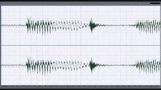 The Paradox of Our Time (These are The Days...)