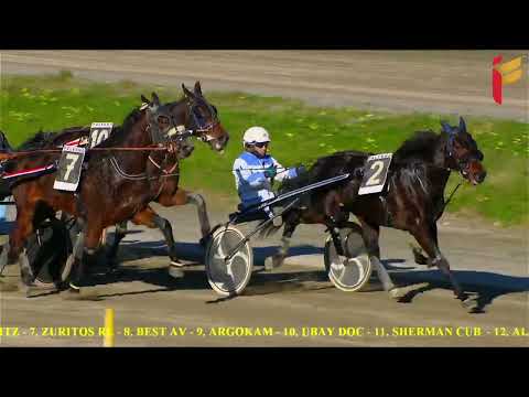 III Corsa del 14 Gennaio 2022 - 5 Anni ed Oltre Cat. G - Metri 2000