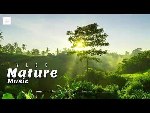 Nature Music Vlog (Vlog No Copyright Music)