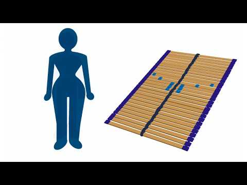 Lattenrost Ergo Standard von Traumkonzept