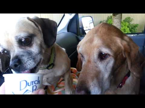 Cooper doesn't Share