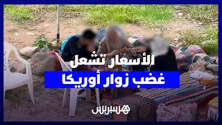 "لهيب الأسعار وإتاوات الجلوس" يشعلان غضب زوار أوريكا.. ومطالب بـ"الزّيار" وبأسعار قانونية thumbnail
