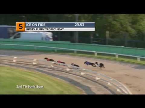 2019 RPGTV PUPPY TROPHY - HEAT 2 - T5 ICE ON FIRE