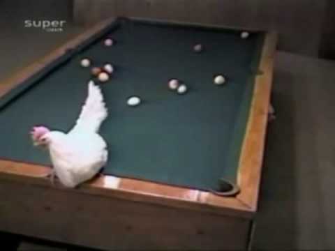 Jugar al Billar con La Polla