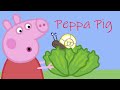 Peppa Pig Tiny Creatures Peppa Peppapig Peppapigenglish Peppapigbooks Kids Kidsvideo
