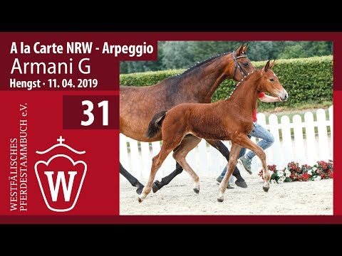 31 Armani G Hengst v. A la Carte NRW - Arpeggio