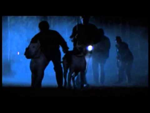 Peur Bleue (1985) Bande annonce française