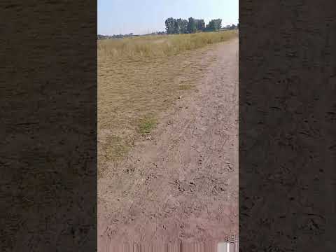 Caminos de tierra. Moreno. Buenos Aires.