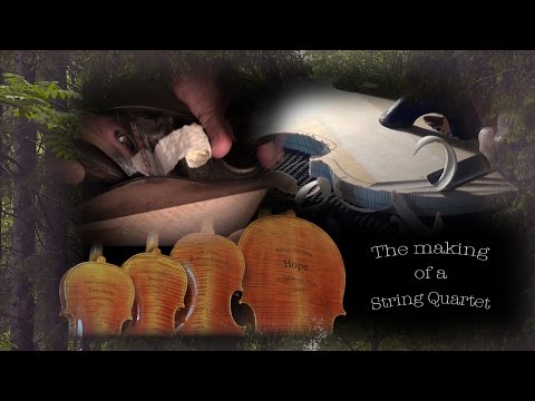 Violin Making  - a String Quartet - from the first shaving of wood to the inaugural gala concerts.