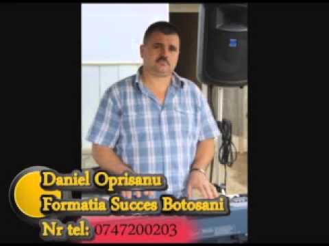 Daniel Oprisanu -  Formatia Succes Botosani - colaj nr 5 banat 2013 : 07474200203