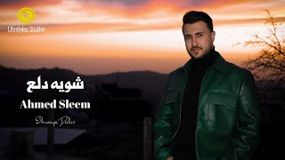 كلمات اغنية شويه دلع احمد سليم