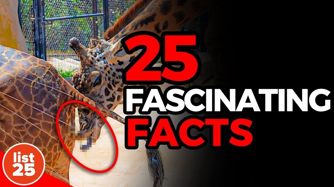 25 Fascinating Facts Even Trivia Experts Don't Know