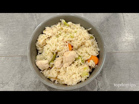 Inexpensive Dog Food Recipe