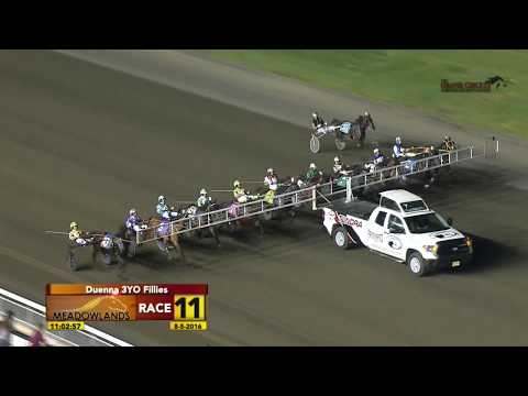 Duenna - August 05, 2016 Race 11