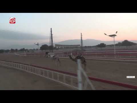  ش 1 (مياسه) لـ مانع علي محمد حماد الشامسي 9:45 , شارة الديوان 2025/12/13 ثنايا السوان