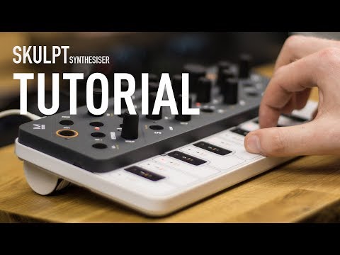Modal Electronics Skulpt SE 4-Voice Analog Synthesizer 2021 - Black / White image 5