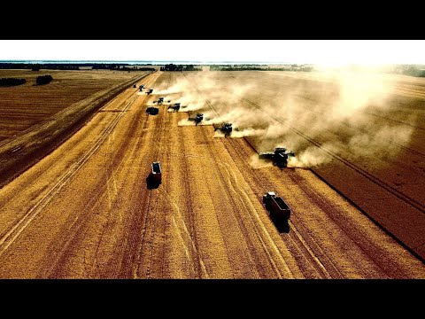 Getriede/Rapsernte XXL 2022 ___ Insel Rügen  ____ 6 x John Deere X9 Mähdrescher