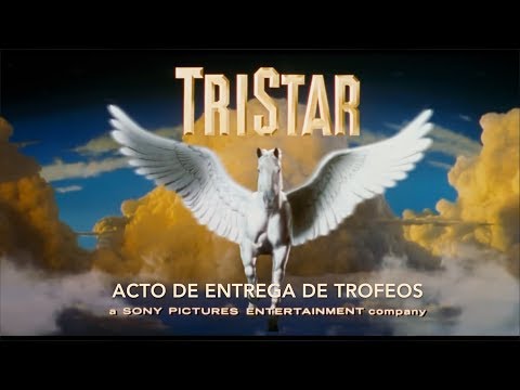 Acto entrega de trofeos 2016-17