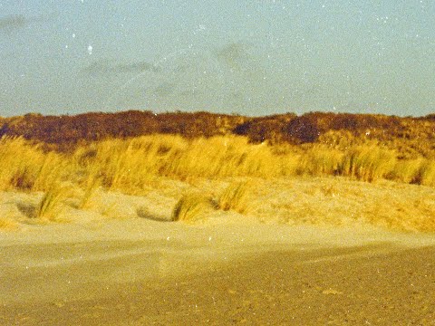 That It's Already Here - Nynke Laverman