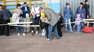 , видео 06.09.2015