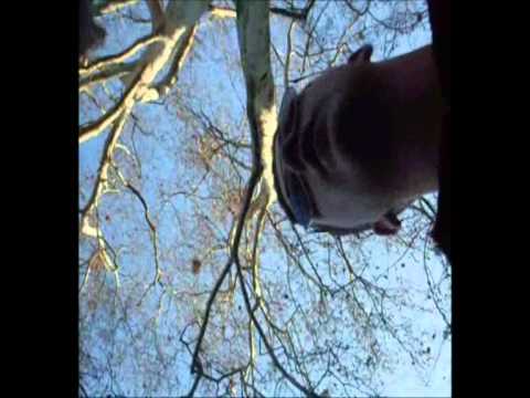 FICK DICH TV.  KARNEVAL.