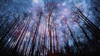 HD 720p CC Vincent Starry, Starry Night,  Don McLean 720p