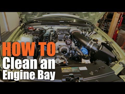 Clean+Protect: GUNK Engine Cleaner | How to Degrease Engine Bay