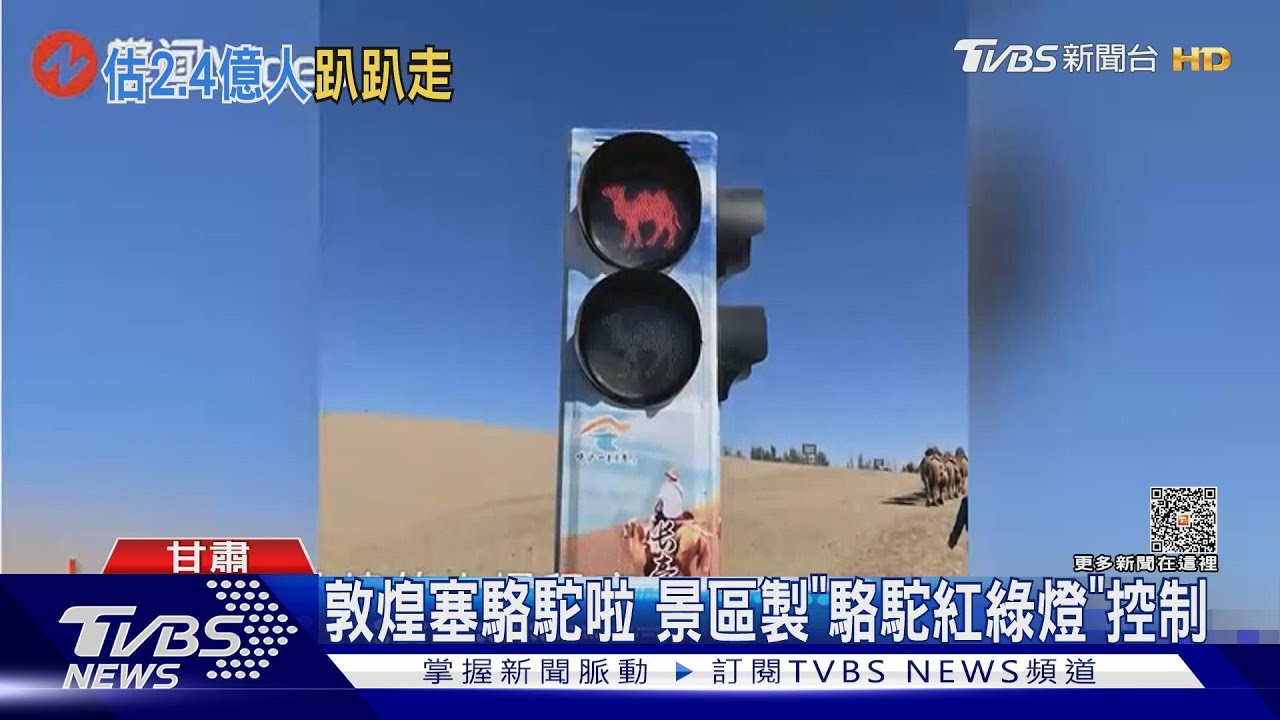 敦煌塞駱駝啦 景區製「駱駝紅綠燈」控制