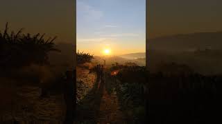 Download lagu Liburan dirumah Abah Cipongpok #viral #shorts #youtubeshorts #pemandangan mp3 Download lagu Liburan dirumah Abah Cipongpok #viral #shorts #youtubeshorts #pemandangan mp3