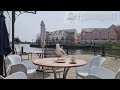 Mischievous Seagull Eating Cake And Drinking Coffee