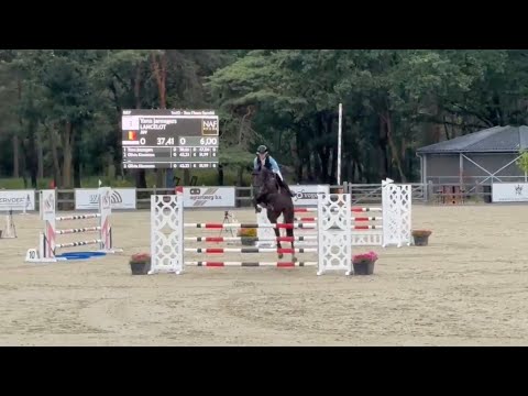 13 Lancelot Show | First Round 5yo 1.15 Class