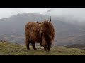 What S It Like Being A Farmer In Scotland