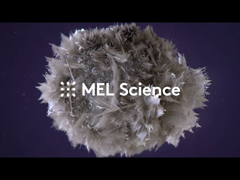 What is MEL Science?