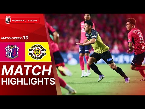 bg-highlight