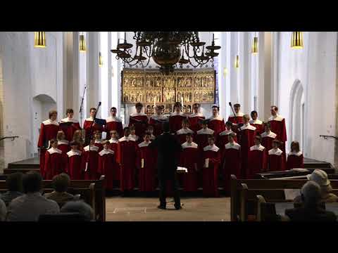 Kieler Knabenchor: Abschied vom Walde (F. Mendelssohn-Bartholdy)