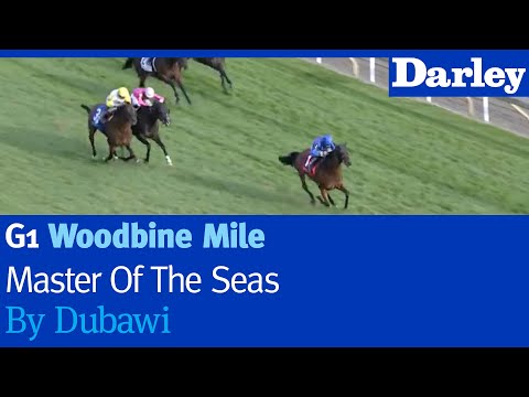 Master of the Seas by Dubawi wins the G1 Woodbine Mile Stakes at Woodbine