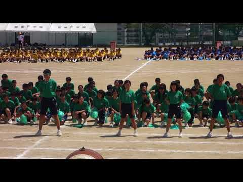 2018年　雲雀丘学園中学校体育大会　応援合戦　緑団