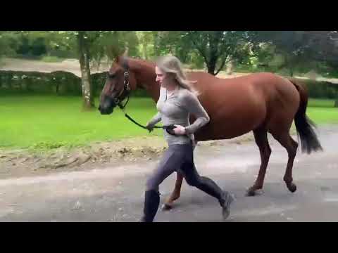 Video 5