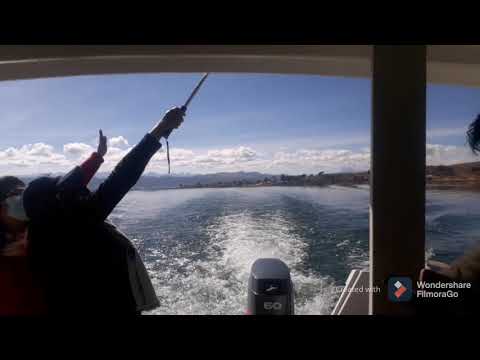 Esquema preferido LETRA (ESPAÑOL) #Brasil