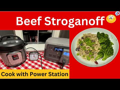 Instant Pot Beef Stroganoff Under $2.50?! Power Station Cooking!