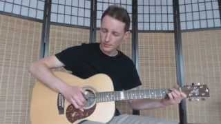 The Bug (Tommy Emmanuel) - Performed by Blaze Prochownik