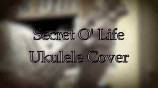 Secret o&#39; Life - Ukulele Cover (A James Taylor song)