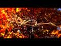 Tim Janis: Flower in October /Októberi Virágok ...