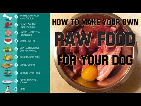download lagu mp3 mp4 Raw Diet For Dogs Homemade, download lagu Raw Diet For Dogs Homemade gratis, unduh video klip Raw Diet For Dogs Homemade