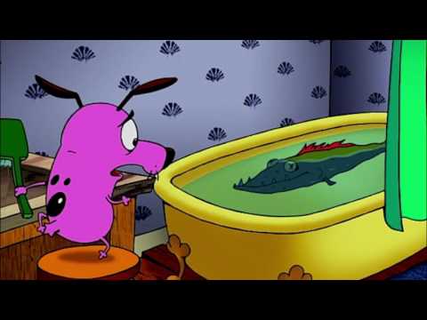 Coraje, el perro cobarde- La perfección no existe