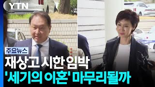 재상고 시한 임박...최태원-노소영 9년 소송 끝날까