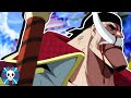 The Paramount War Part 2 Sagas In Minutes