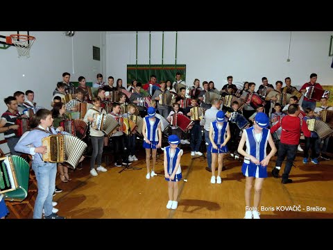 Ansambel Jarica, mažuretke Sevnica, harmonikarji T. Sotoška in B. Povšeta - Muzikant (v živo)