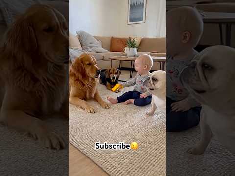 Cuteness overload #fypシ #funny #viral #shorts #cute